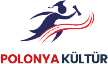 Polonya Kültür Polonya'da Üniversite